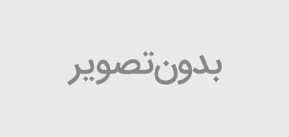 بازدید فرود عسگری معاون وزیر اقتصاد و رئیس کل گمرک ایران و هیئت همراه از مجتمع صنعتی ماموت